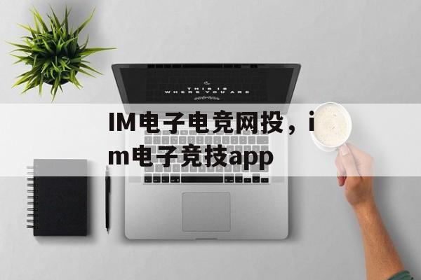 IM电子电竞网投，im电子竞技app